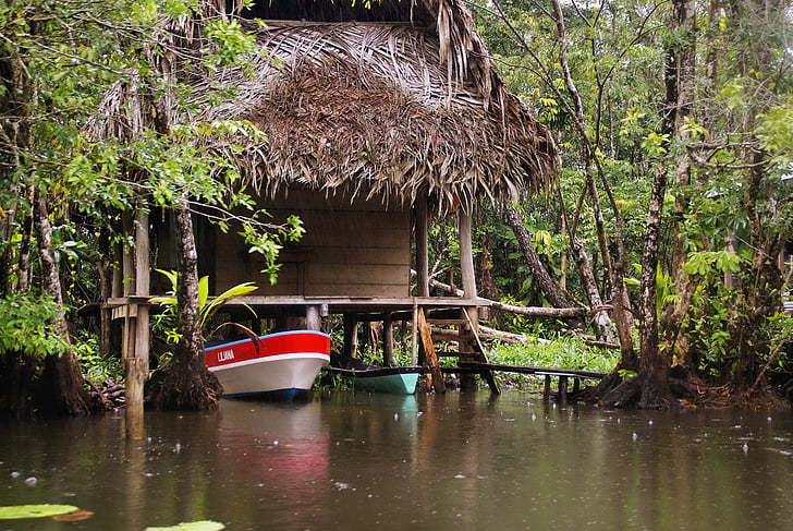 vatten, Tropic, Tropical, Box, kanot, Palapa