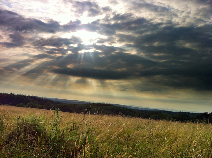 clouds, field, summer, sky, landscape, nature, sunshine