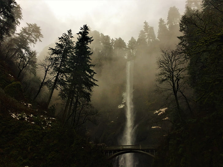 Multnomah, Oregon, mistige, waterval, rivier, landschap, buiten