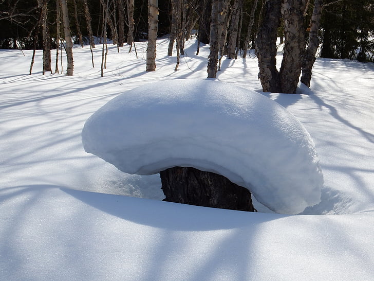 winter, snow, snowdrifts, forest, stump, cap, fallen tree