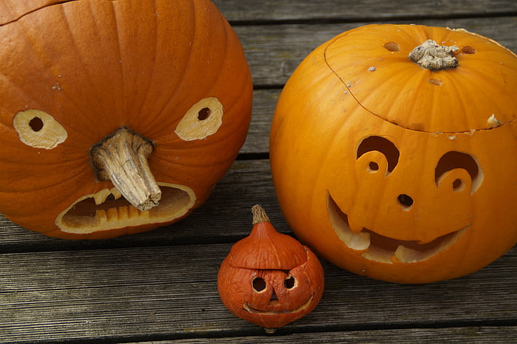 pumpkins, three, halloween, family, cheeky, autumn, face