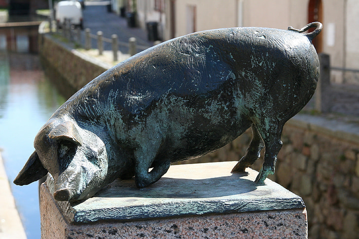 porc, statuie de bronz, Wismar