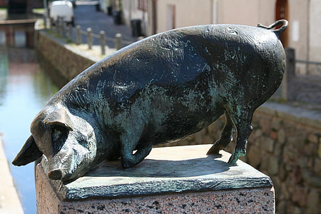 Schwein, Bronze-statue, Wismar