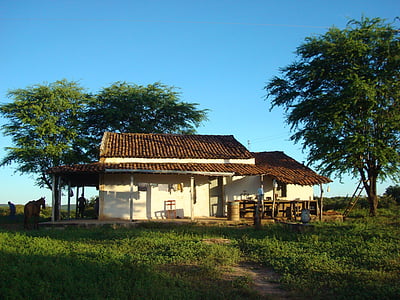 ферма, селски, uiraúna-pb, архитектура, култури