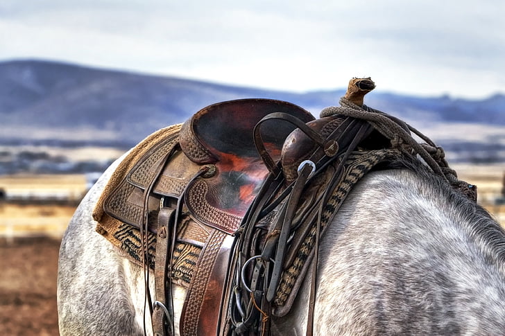 saddle, horse, cowboy, western, country, animal, farm