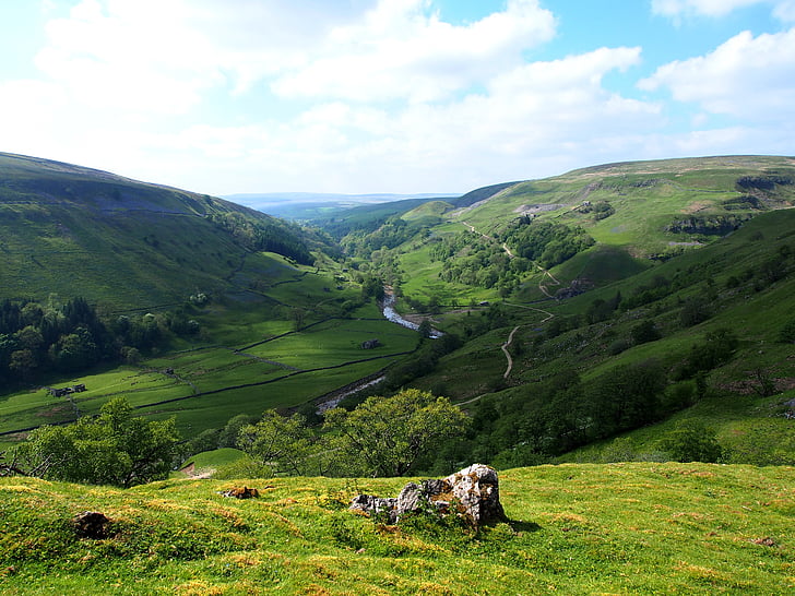 Tal des Flusses, Dales, Yorkshire, Landschaft, Vieh, Tierthema, Landschaften