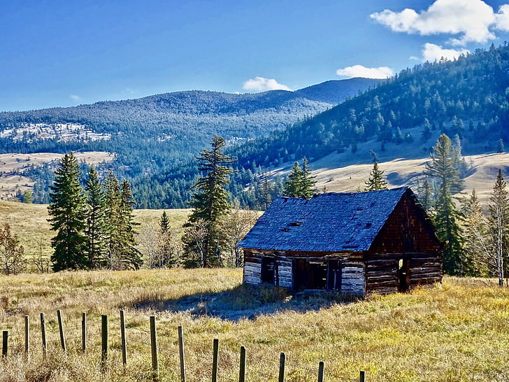 cabine, cabana, casa de campo, montanha, tradicional, casa, natureza