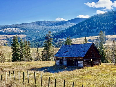 cabine, Hut, Cottage, montagne, traditionnel, maison, nature