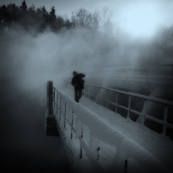 frost, fog, winter, bridge, snow, zing, frazil