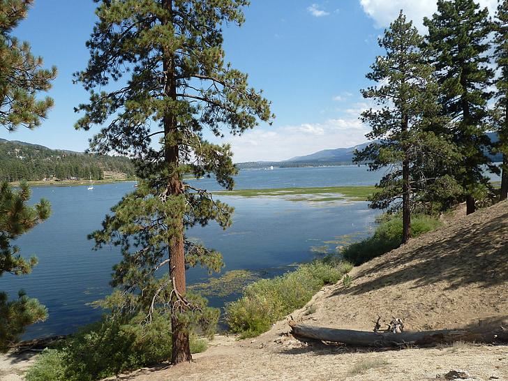 big bear, lake, forest, rocks, rock formation, outdoors, mountains