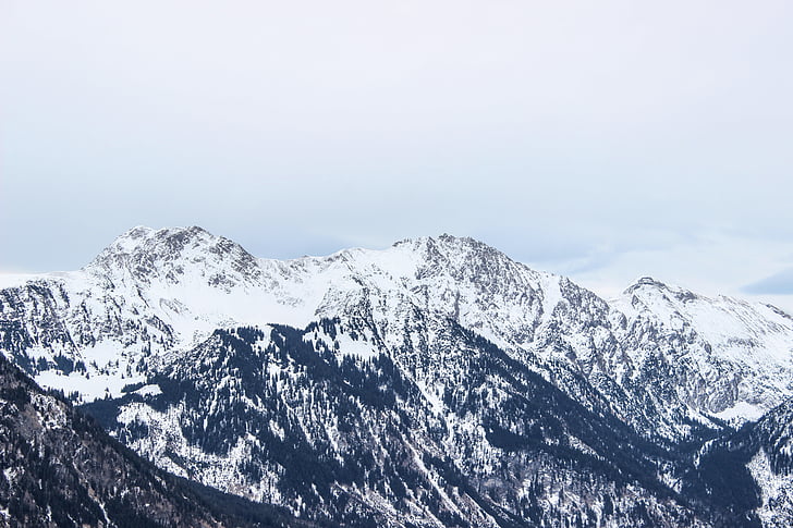 Marco, fotografia, montanha, cobertos, neve, Inverno, cume da montanha