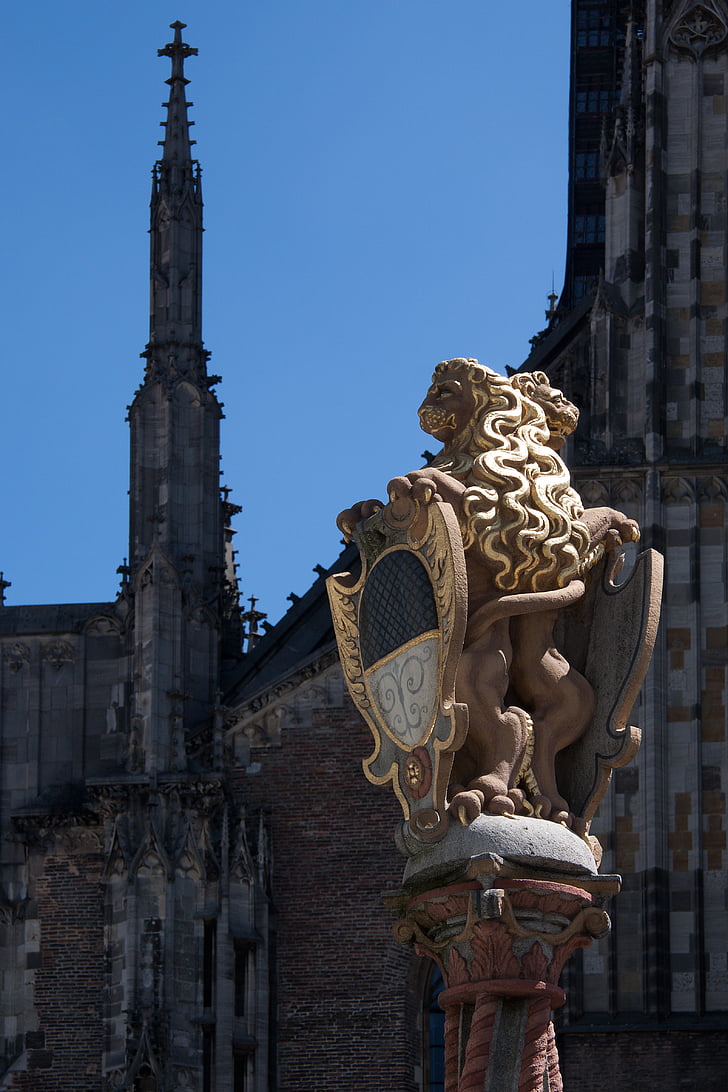lion, gilded, ulm, city, coat of arms, building, architecture
