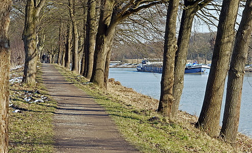 Avenue, Towpath, Dortmund ems kanal, pe căile navigabile federale, winterspaziergang, zăpadă reste, stejar