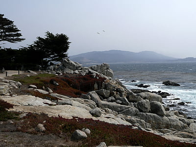 Kalifornien, USA, kusten, strandlinjen, naturen, vacker natur, landskap