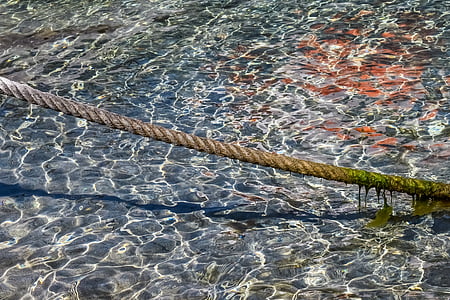 head rope, rope, nautical, sea, clear, transparent, reflections