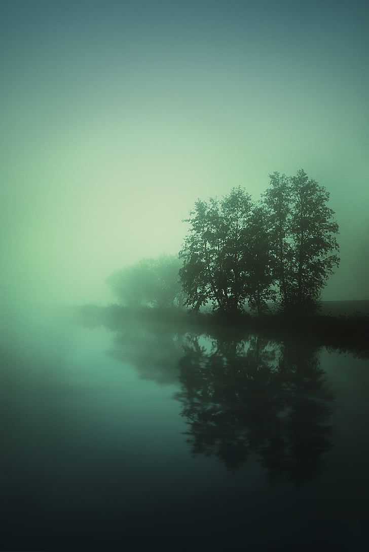 мъгла, езеро, вода, пейзаж, настроение, мълчи, дърво