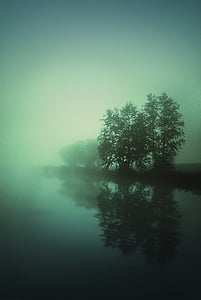 mlha, jezero, voda, krajina, nálada, tiché, strom