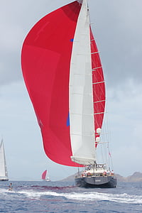 sailboat, boats, competition