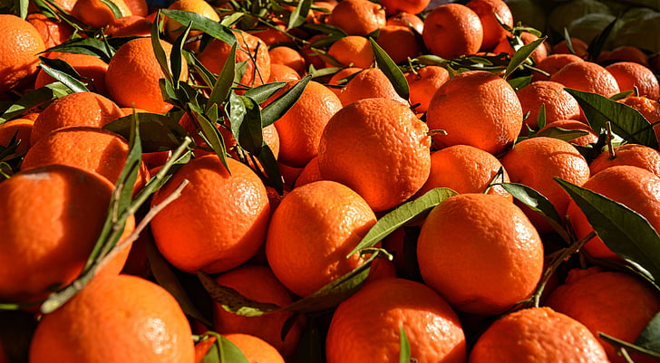 ส้ม, สีส้ม, ผลไม้, ความสวยงาม