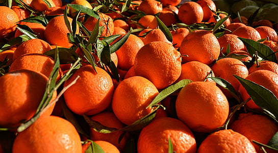 oranges, orange, fruits, beauté