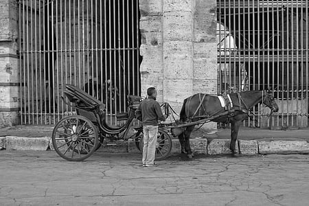 italy, rome, horse, carriage