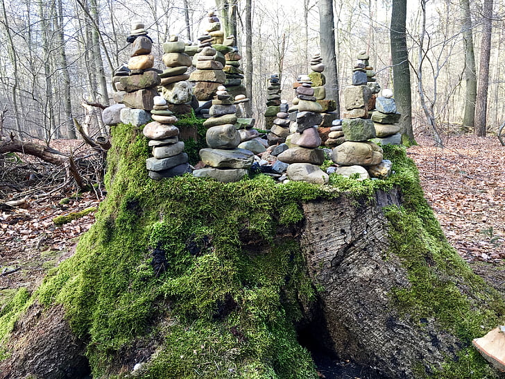 stones, tree stump, forest, moss, sawed off, nature, art