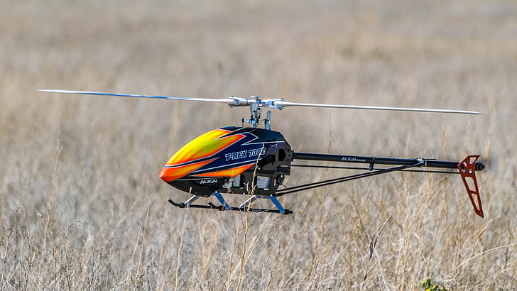 drone, campo, grama, helicóptero, temas de animais, um animal, sem pessoas