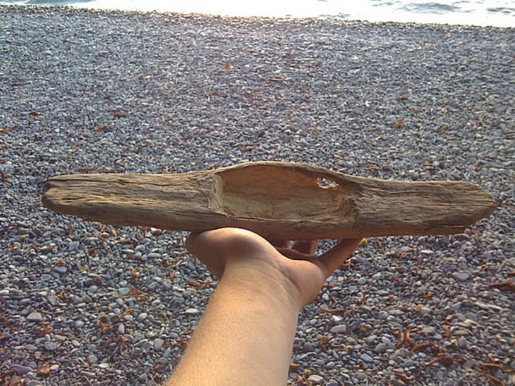 driftwood, carving, give, wood, hand, coast, carved