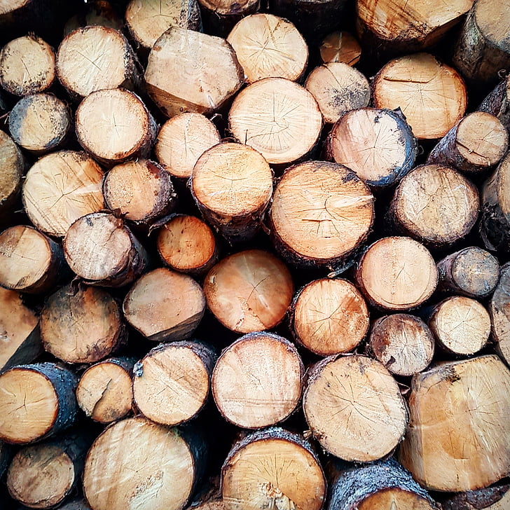 madeira, Resumo, árvores