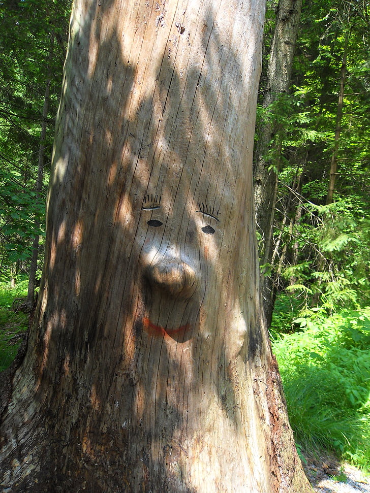 pohon wajah, log, semangat hutan