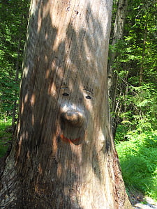 Baum-Gesicht, Log, Waldgeist