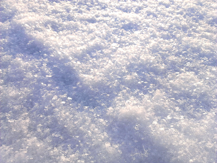 neu, coberta de neu persistent, flocs de neu, snowdrift, gelades, dia d'hivern, natura