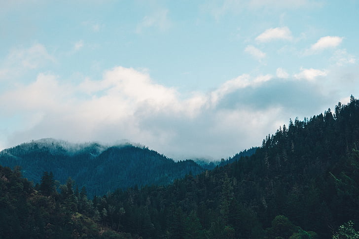 landscape, mountains, trees, hills, forest, nature, outdoors