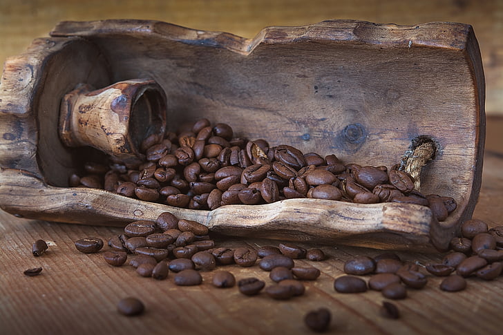 kava, kavna zrna, pražena, kofein, suho, leseni lopato, blizu