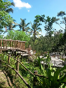 Parcul, Bali, soare, pădure, Sarbatori, Dom, bucuria