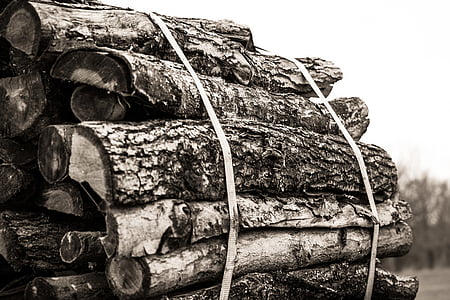 dřevo, palivové dříví, holzstapel, řezání závitů hřebeny, porostní zásoby, naskládané, uříznutý