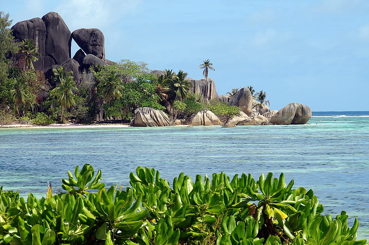 plage, roches, tropiques, paysage, lagon, mer, Seychelles