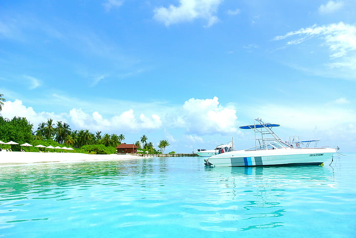 Malediivit, kookospähkinä puu, Sea, Resort, kesällä, Holiday, taivas