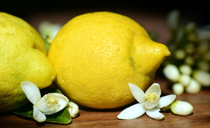 lemons, lemon blossom, blossom, bloom, nature, sour, mediterranean