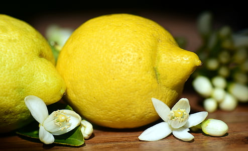 limões, flor de limão, flor, flor, natureza, azedo, Mediterrâneo