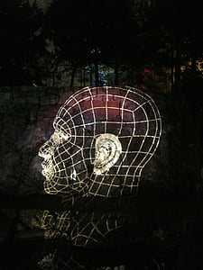hoofd, licht, schedel, structuur, nacht, illustraties, surrealistisch