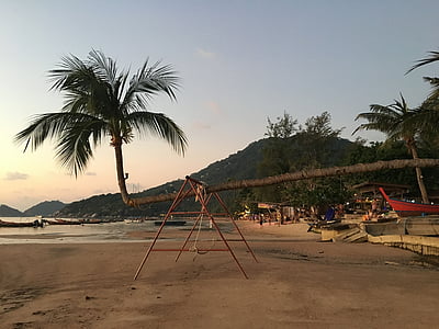 Thaïlande, Krabi, arbres de noix de coco