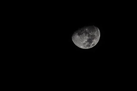 ขาวดำ, สีเข้ม, ดวงจันทร์, แสงจันทร์, คืน
