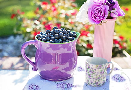 blueberries, summer, fruit, fresh, healthy, sweet, organic