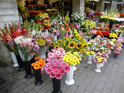 lilled, kauplus, kimp, Värviline, suve lilled, kimbud, lillekauplustes