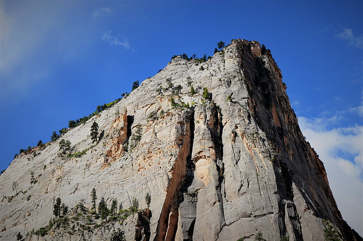 zion, national park, landscape, rock, canyon