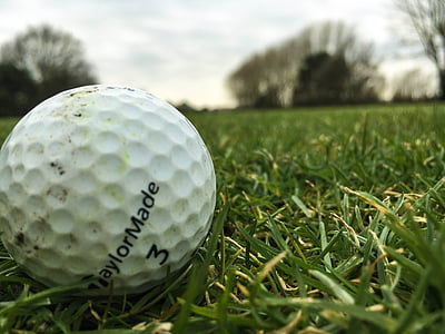 Golf, detal, pole golfowe, trawa, zielony, sportowe, pár