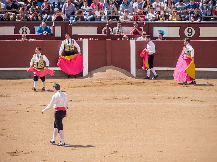 กันขน, torero, bullfighters, ขาย, มาดริด, บูลส์, สเปน