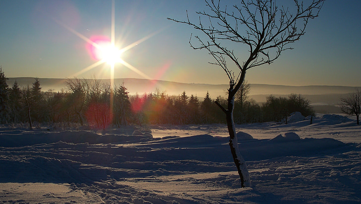 Erzgebirge, l'hivern, posta de sol, katharienenberg, cobert de neu, fred, idíl·lic