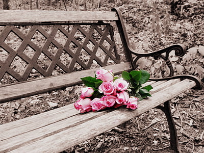 roses on bench, selective coloring, selective color, bench, flowers, roses, wooden